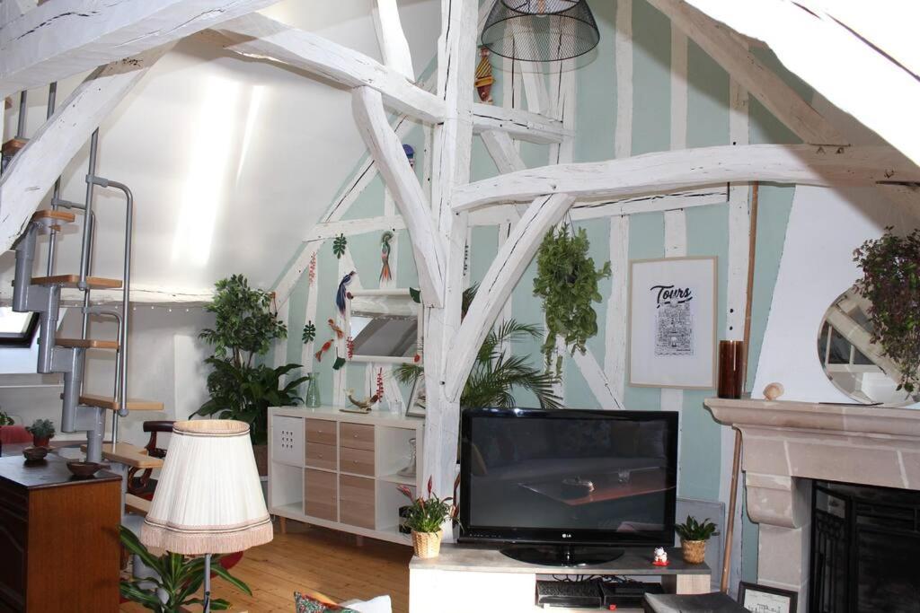 Charmant Appartement Vieux Tours Esterno foto