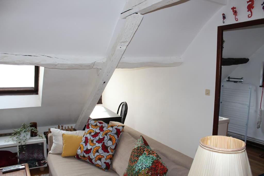 Charmant Appartement Vieux Tours Esterno foto