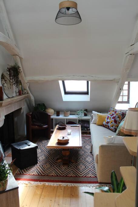 Charmant Appartement Vieux Tours Esterno foto